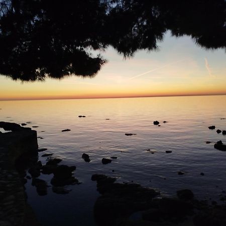Jordanapartment Porec Bagian luar foto
